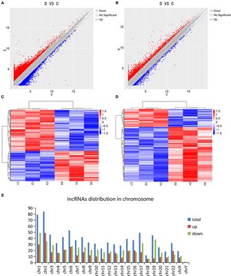 Differential Expression Profiles and Functional Analysis of Long Non-coding RNAs in Children With Dilated Cardiomyopathy